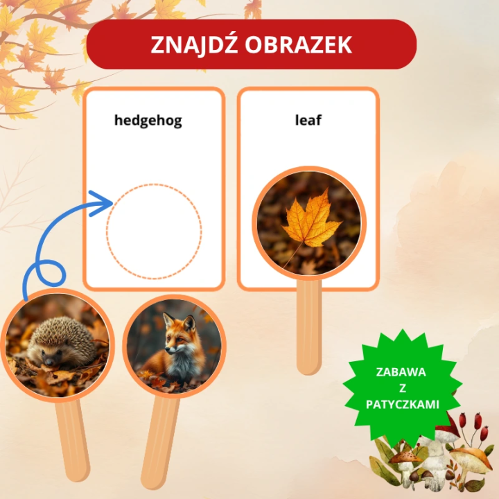 Zestaw Autumn - język angielski - EduBazarek