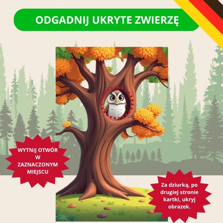 Zestaw Waldtiere - język niemiecki - EduBazarek