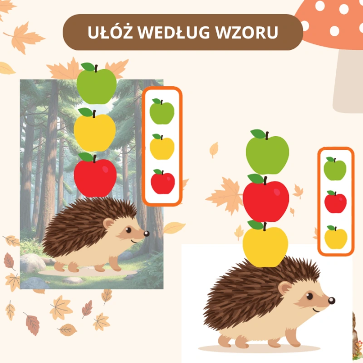 Zestaw Hedgehog Day - język angielski - EduBazarek