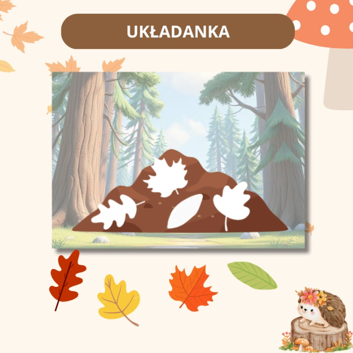 Zestaw Hedgehog Day - język angielski - EduBazarek