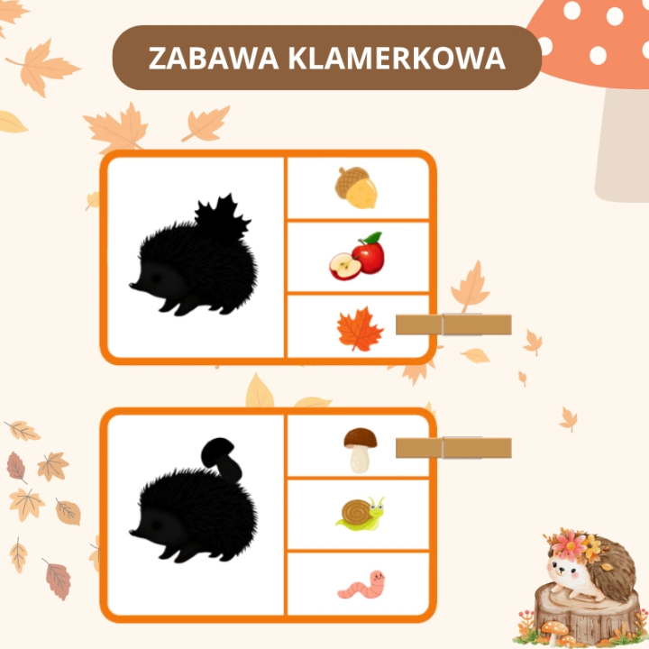 Zestaw Hedgehog Day - język angielski - EduBazarek