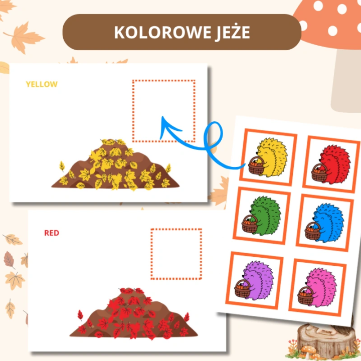 Zestaw Dzień Jeża - EduBazarek