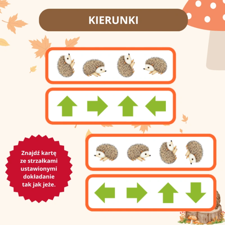 Zestaw Dzień Jeża - EduBazarek