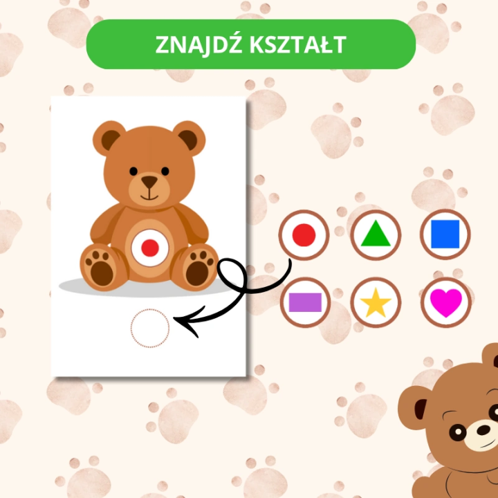 Zestaw Dzień Pluszowego Misia - język angielski - EduBazarek