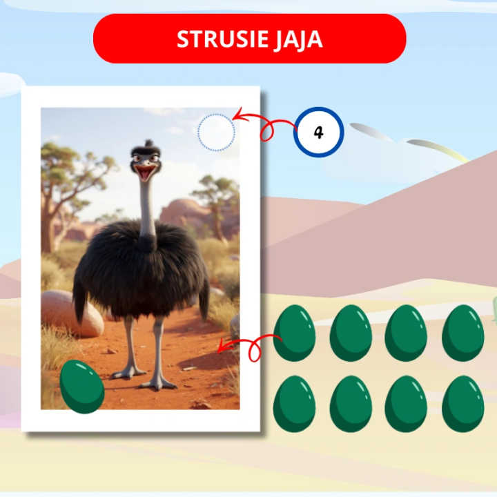 Zestaw Australia Day - język angielski - EduBazarek