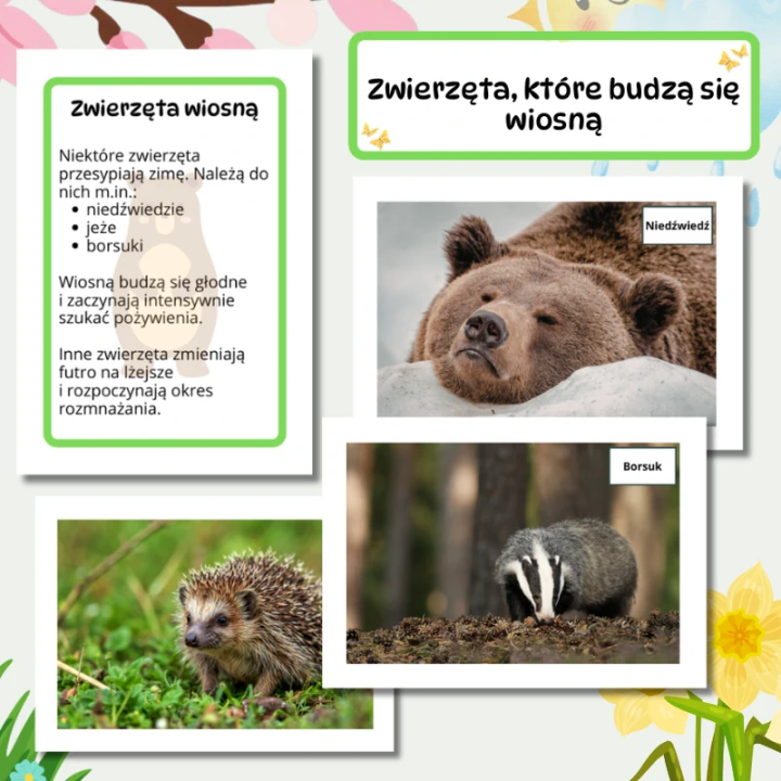 Gazetka Ścienna Wiosna (pdf) - EduBazarek