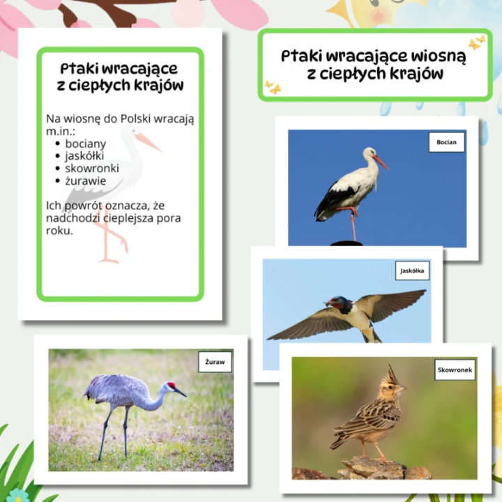 Gazetka Ścienna Wiosna (pdf) - EduBazarek