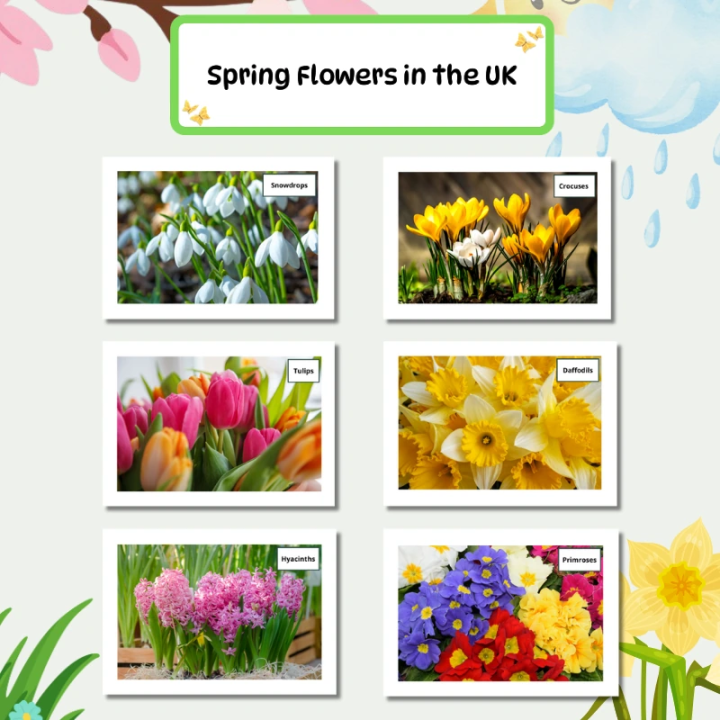 Gazetka Ścienna Spring (pdf) - język angielski - EduBazarek