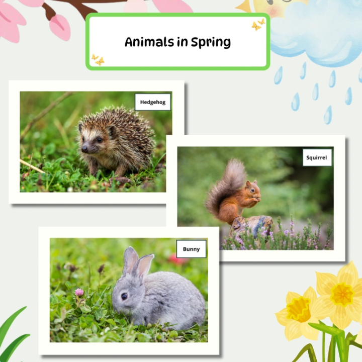Gazetka Ścienna Spring (pdf) - język angielski - EduBazarek