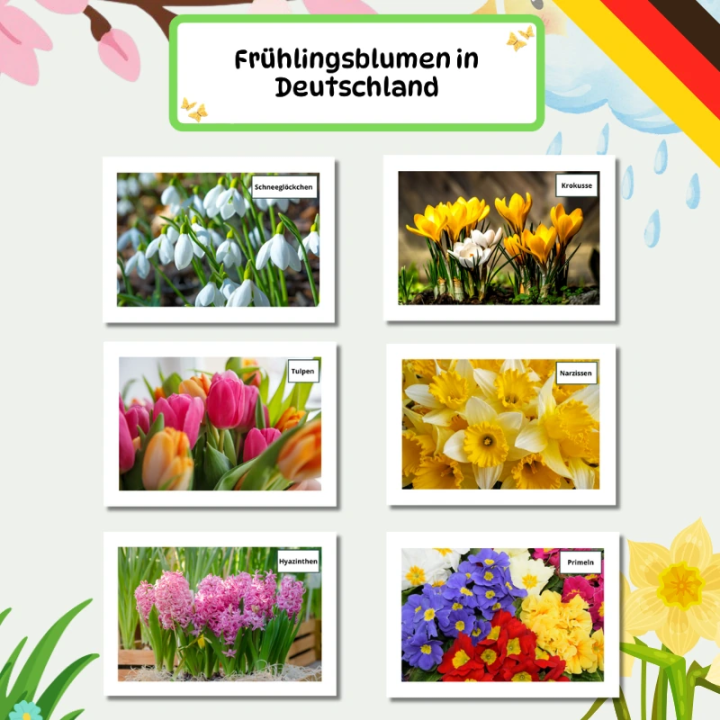 Gazetka Ścienna Fruhling (pdf) - język niemiecki - EduBazarek