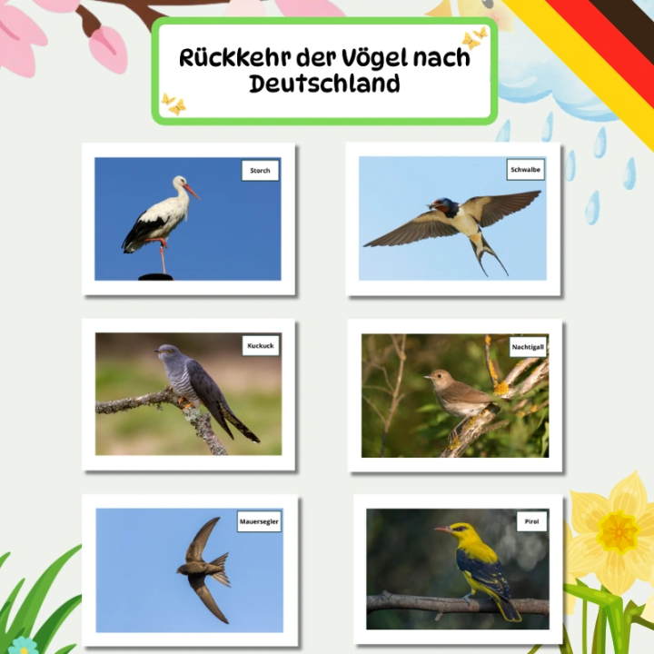 Gazetka Ścienna Fruhling (pdf) - język niemiecki - EduBazarek