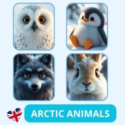 Zestaw Arctic Animals - Pomoc Dydaktyczna do Nauki Języka Angielskiego dla Dzieci