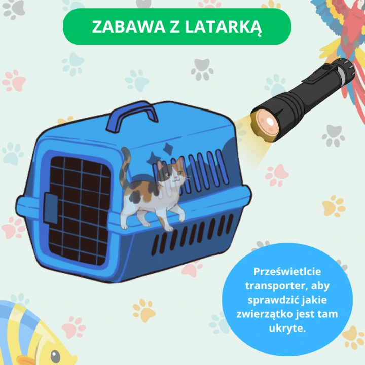 Zestaw Edukacyjny Pets (pdf) - język angielski - EduBazarek