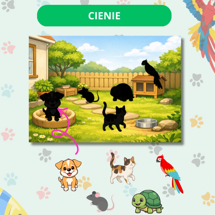Zestaw Edukacyjny Pets (pdf) - język angielski - EduBazarek