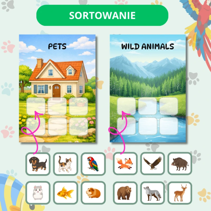 Zestaw Edukacyjny Pets (pdf) - język angielski - EduBazarek