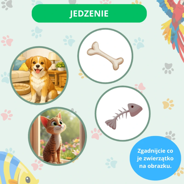 Zestaw Edukacyjny Pets (pdf) - język angielski - EduBazarek