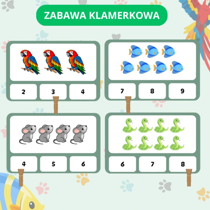 Zestaw Edukacyjny Pets (pdf) - język angielski - EduBazarek