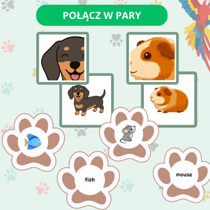 Zestaw Edukacyjny Pets (pdf) - język angielski - EduBazarek
