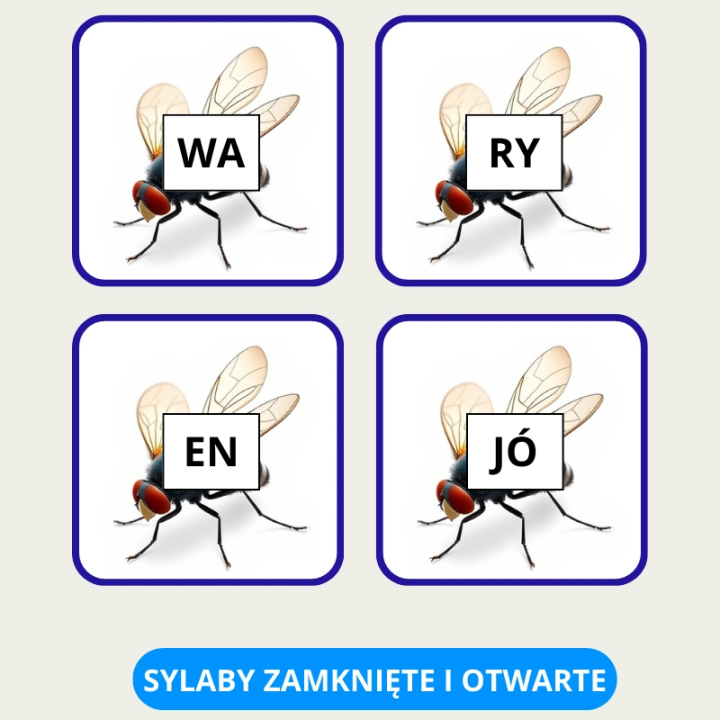 Polowanie na muchy - nauka czytania metodą sylabową - EduBazarek