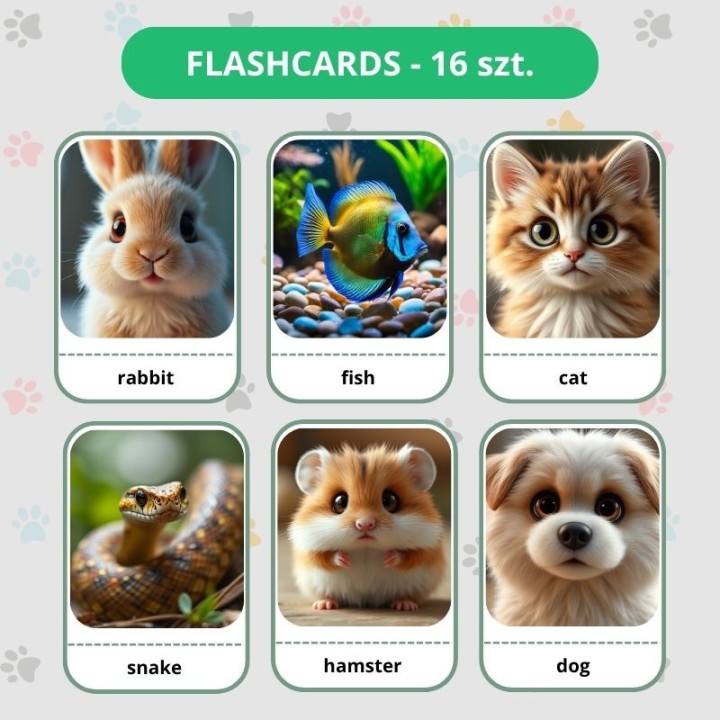 Zwierzęta domowe - Pets - język angielski - EduBazarek