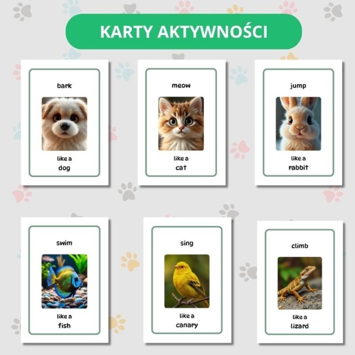 Zwierzęta domowe - Pets - język angielski - EduBazarek