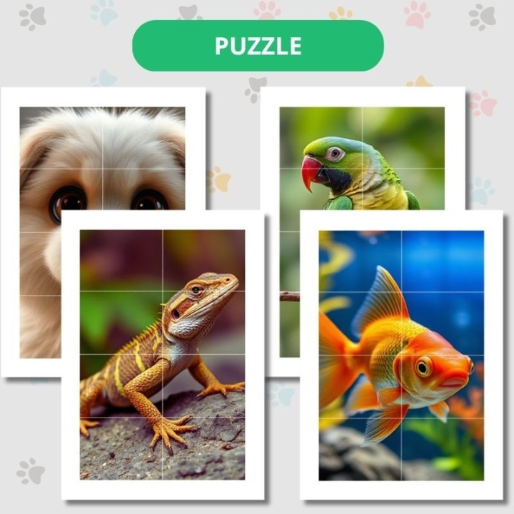 Zwierzęta domowe - Pets - język angielski - EduBazarek