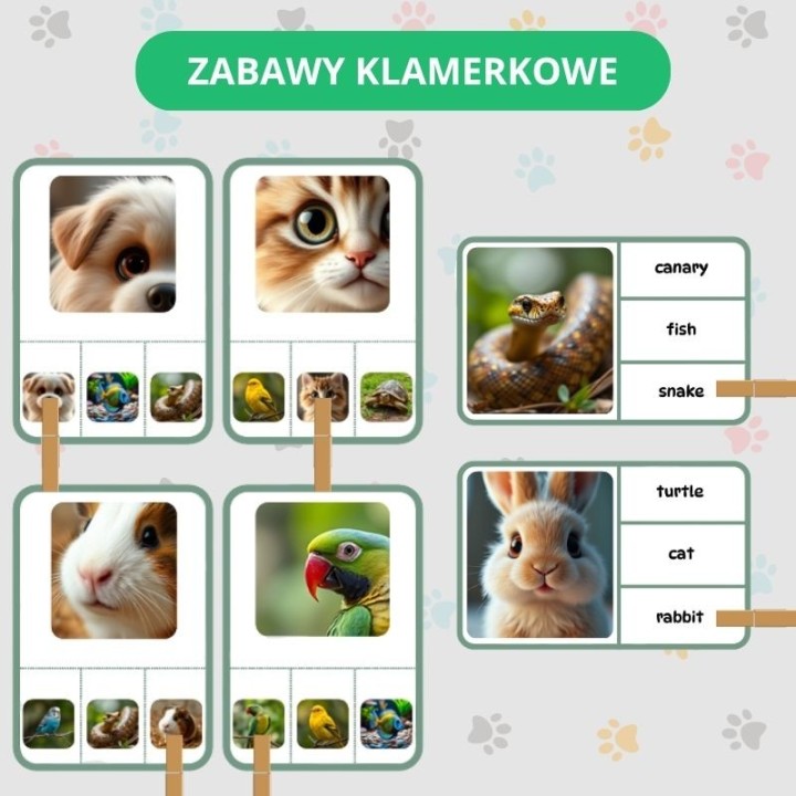 Zwierzęta domowe - Pets - język angielski - EduBazarek
