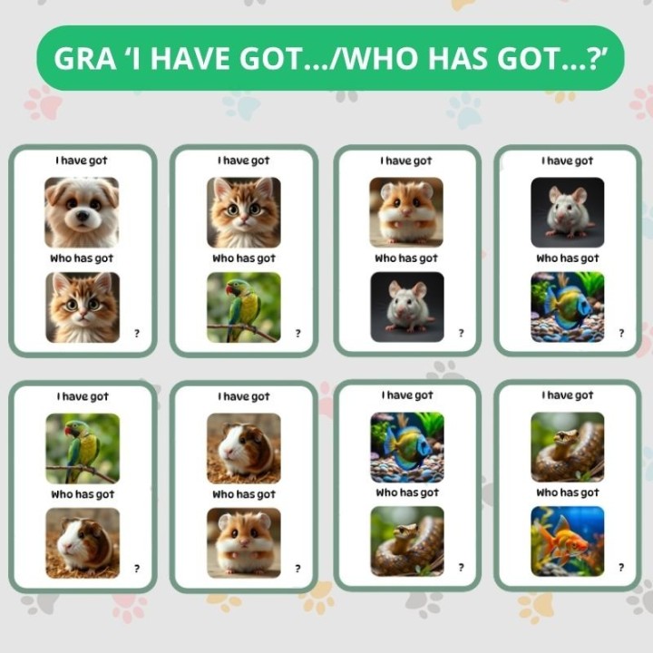 Zwierzęta domowe - Pets - język angielski - EduBazarek