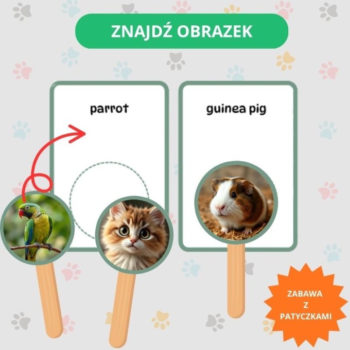 Zwierzęta domowe - Pets - język angielski - EduBazarek