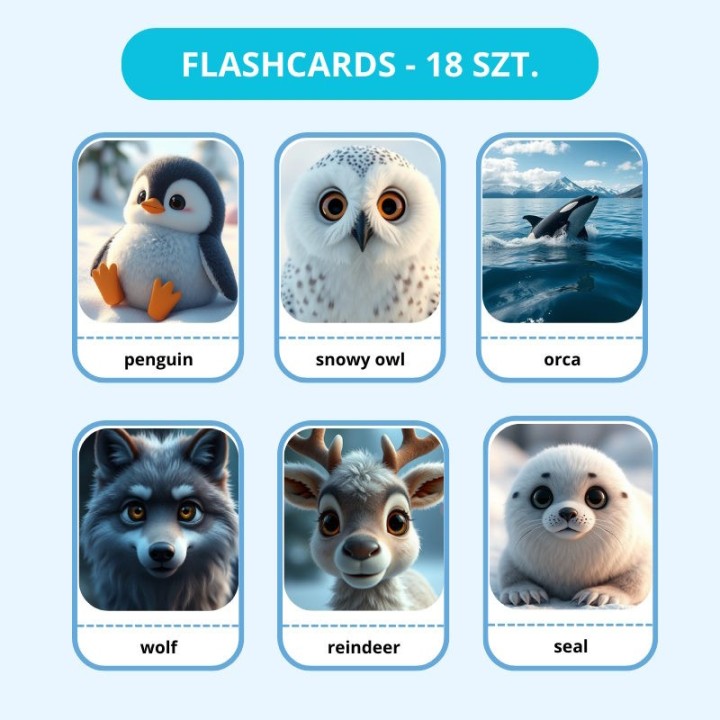 Zestaw Arctic Animals - język angielski - EduBazarek