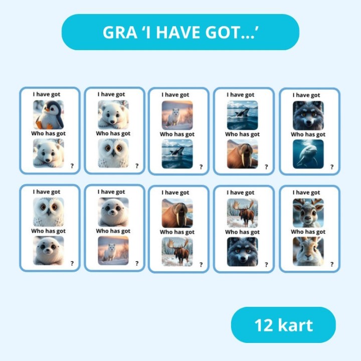 Zestaw Arctic Animals - język angielski - EduBazarek