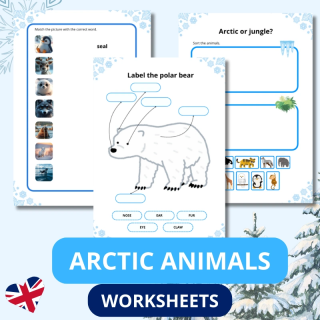 Arctic Animals Worksheets - język angielski - EduBazarek