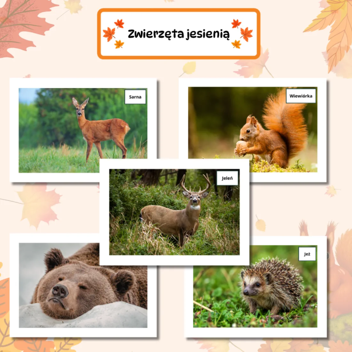 Gazetka szkolna Jesień (pdf) - gazetka ścienna - EduBazarek
