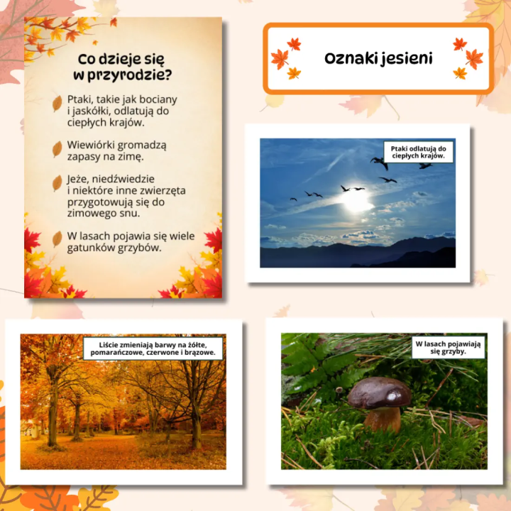 Gazetka szkolna Jesień (pdf) - gazetka ścienna - EduBazarek