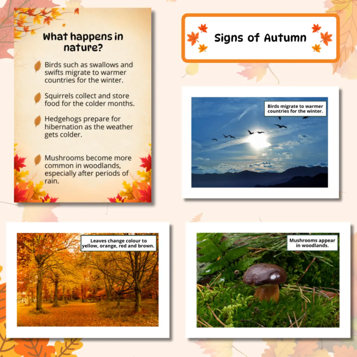 Gazetka szkolna Autumn (pdf) - gotowa do druku - EduBazarek