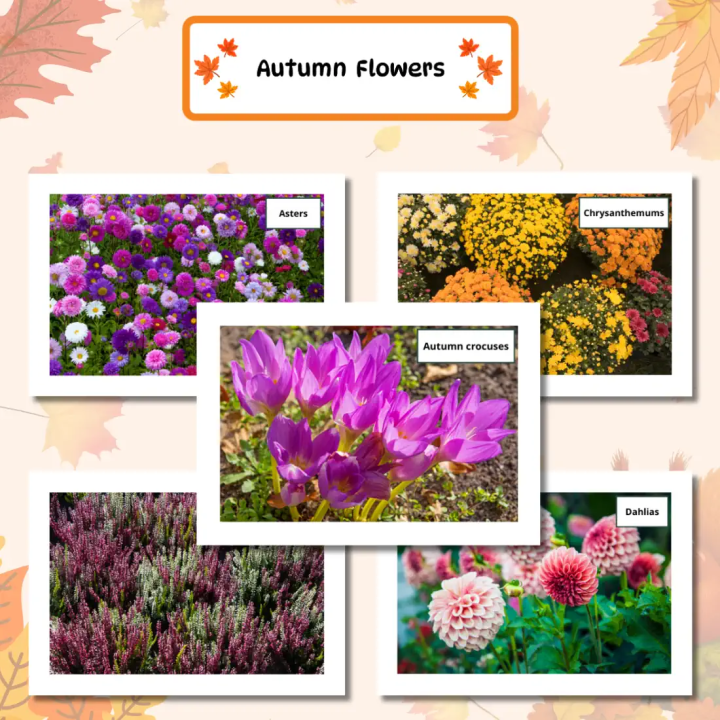 Gazetka szkolna Autumn (pdf) - gotowa do druku - EduBazarek
