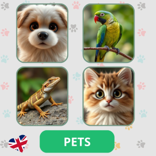 Zwierzęta domowe - Pets - język angielski - EduBazarek