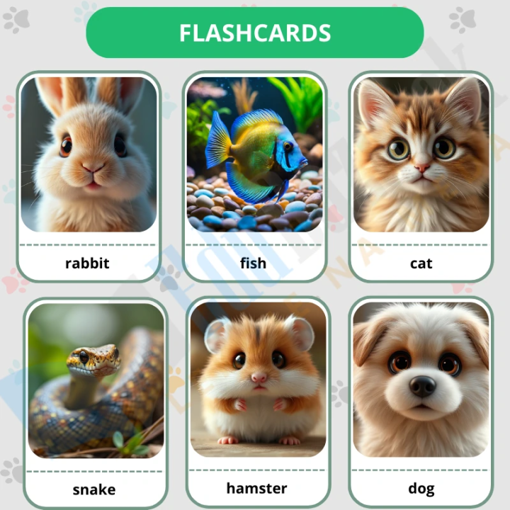 Zwierzęta domowe - Pets - język angielski - EduBazarek