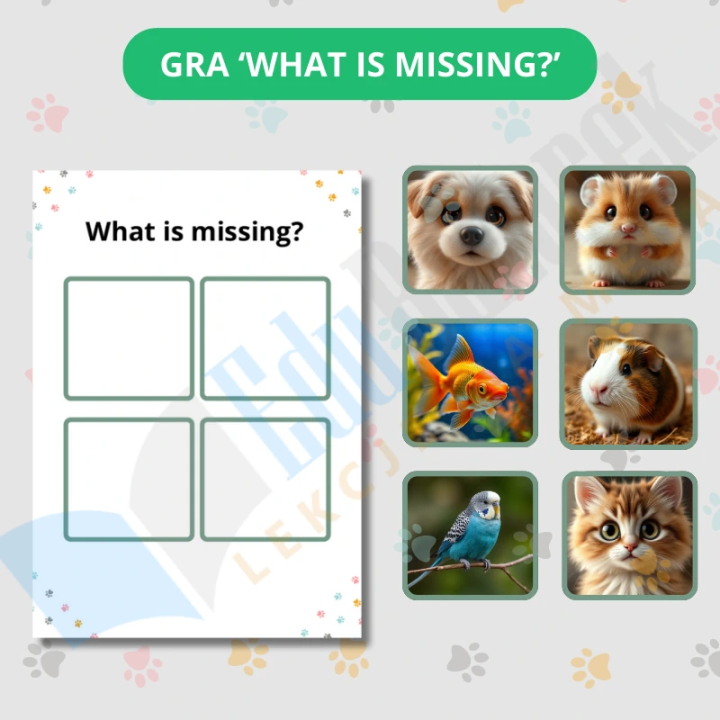 Zwierzęta domowe - Pets - język angielski - EduBazarek