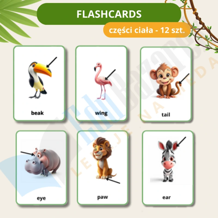 Zwierzęta dżungli i sawanny - język angielski - EduBazarek