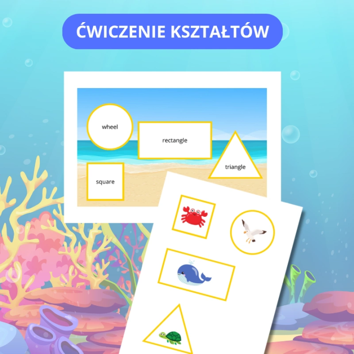 Summer Animals - język angielski - EduBazarek