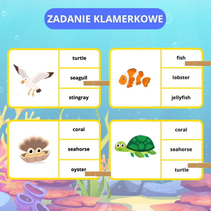 Summer Animals - język angielski - EduBazarek